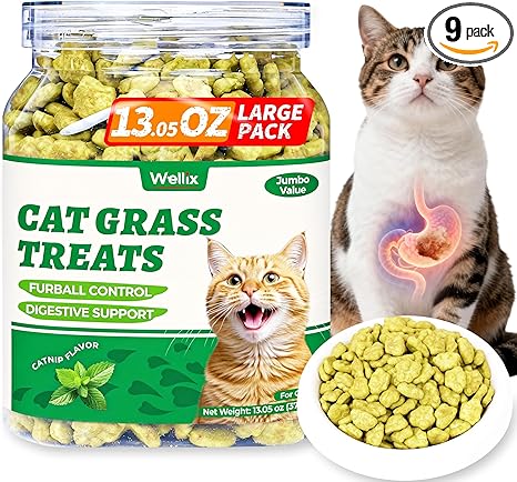 Wellix 13.05oz Cat Grass Treats with Catnip & Salmon - Healthy Cat Treats for Indoor Cats - Hairball Control & Digestive Support - Kittens Training Snacks for Teeth Cleaning