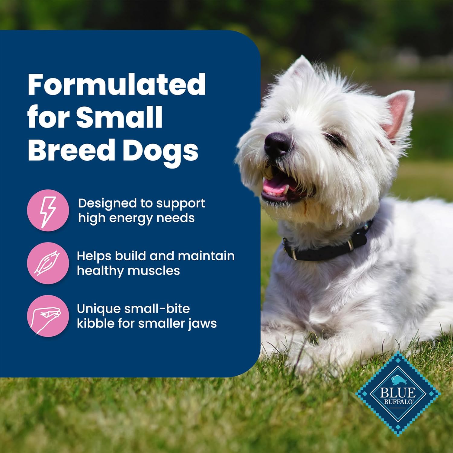Blue Buffalo Life Protection Formula Adult Small Breed Dry Dog Food, Supports High Energy Needs, Made with Natural Ingredients, Chicken & Brown Rice Recipe, 5-lb. Bag - Cart Shape