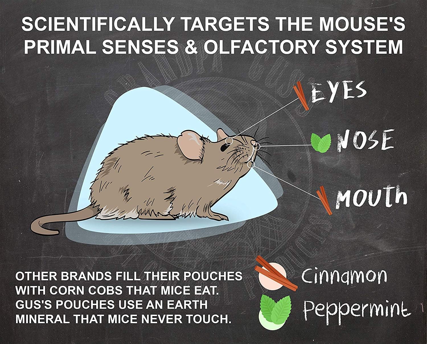 Grandpa Gus's Rodent Repellent Spray, Peppermint & Cinnamon Oil, Prevents Mouse/Rats from Nesting & Chewing on Wires, 16 fl oz (Pack of 1)