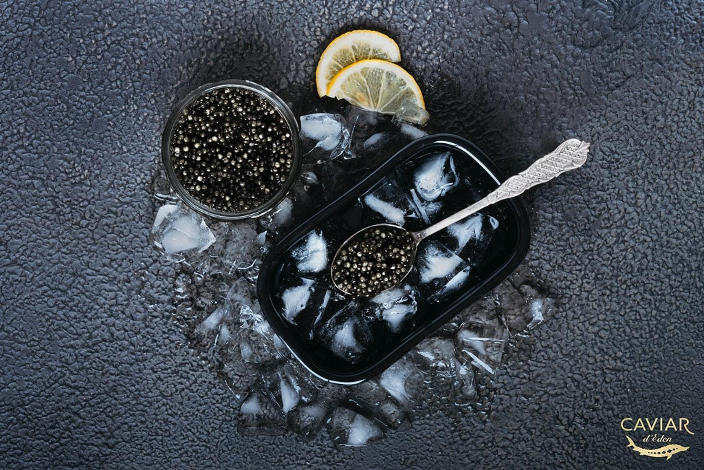 𝐁𝐄𝐒𝐓𝐒𝐄𝐋𝐋𝐄𝐑 Premium Siberian Sturgeon Royal Black Caviar - 1.1 oz - (30g) - Classical Sturgeon Malossol Sturgeon Black Roe - [JANUARY 2026]