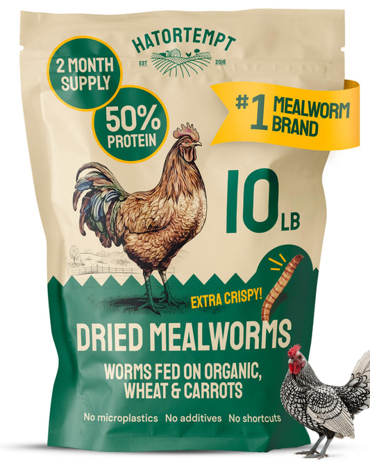 Hatortempt Bulk Dried Mealworms - 10 Lb Bag - Non-GMO Dried Mealworms for Chickens, Ducks & Wild Birds - High-Protein Chicken Feed & Bird Food