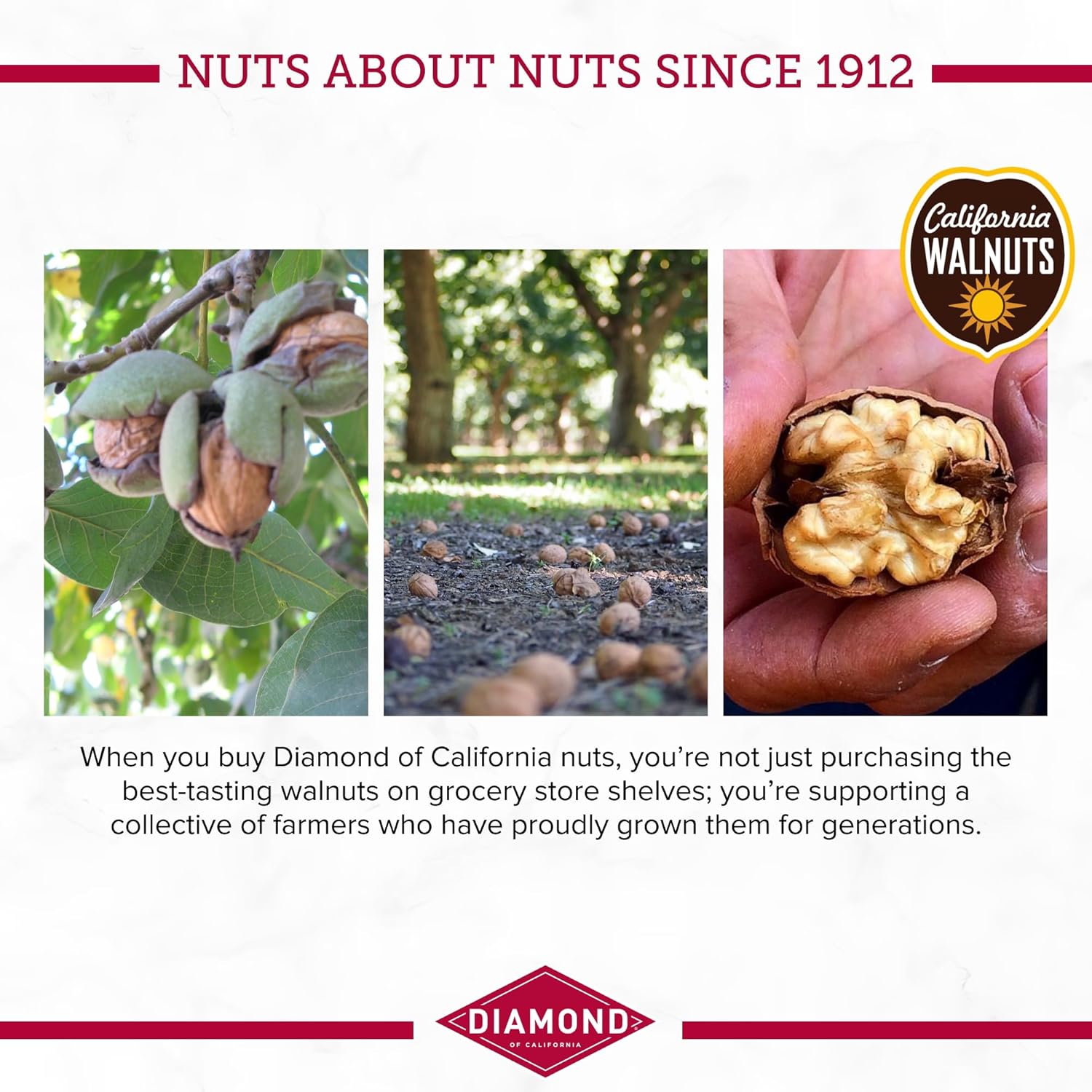Diamond of California Shelled Walnut Halves and Pieces, Pre-Shelled Raw Walnuts for Baking, Snacking and Salads, 32 oz.