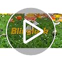 Blingluck Garden Fence, 22 in(H) x 10.83 ft(L) Arched Rustproof Metal No Dig Fence Garden Fence Border, Ground Stake Animal Barrier Fence for Rabbit Dog, Outdoor Decor for Yard & Patio