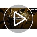 GIGALUMI Garden Decor Outdoor Lights 120LED 2Pack, Solar Garden Lights Outside Fairy Firework Decorative,Solar Powered for Yard Pathway Flowerbed Planter Balcony Patio 4th of July Decor (Warm White