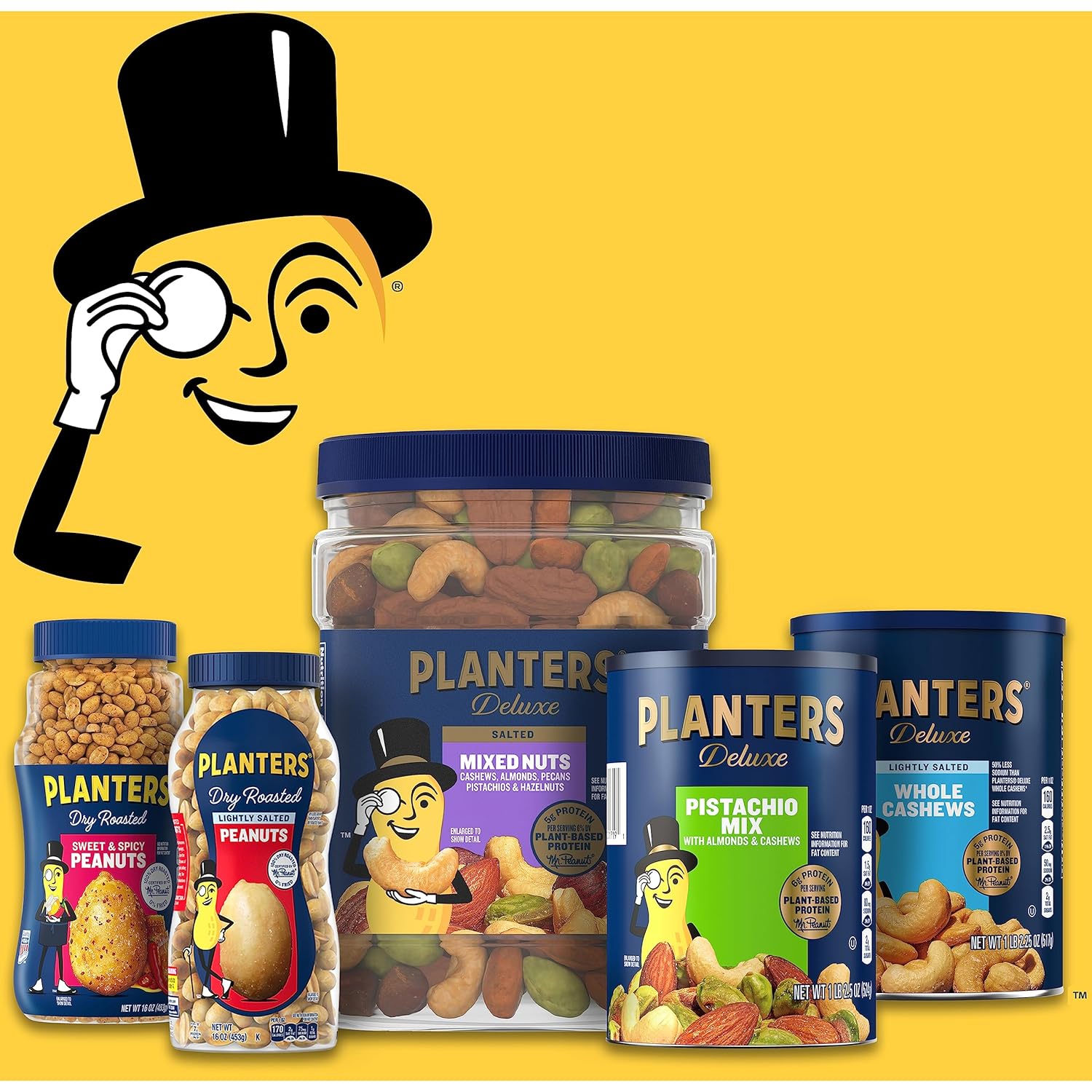 PLANTERS Salted Peanuts, Dry Roasted Peanuts, Party Snacks, Plant Based Protein, Snacks For Adults, 16oz (1 Jar)