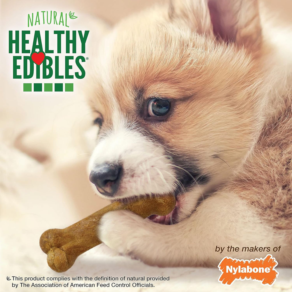 Nylabone Healthy Edibles Natural Puppy Chews Long Lasting Treats for Puppies, Roast Beef, Apple & Bacon Flavor, X-Small/Petite (3 Count)