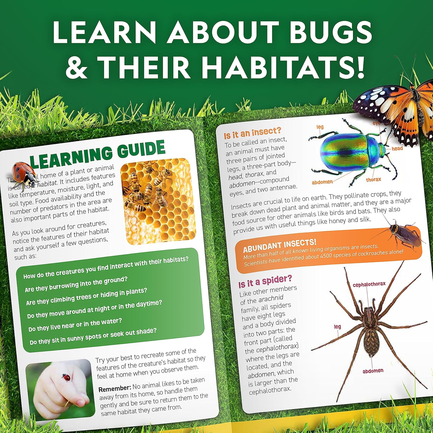 National Geographic Bug Catcher Kit for Kids - Kids Bug Habitat with Magnified Viewer, Bug Catcher, Tweezers & Learning Guide, Insect Habitat, Outdoor Toys, Kids Bug Catching Kit, Bug Box