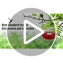 FEED GARDEN Hummingbird Feeders for Outdoors, 2 Pack 16oz Leak-Proof Dish-Style Nectar Feeder Built-in Ant Moat, 5 Feeding Ports, Wide Mouth Easy Clean, BPA-Free Garden Décor Gifts