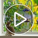 COCONUT 62" Shepherds Hooks for Outdoor, Bird Feeder Pole with 5 Prong Base, Adjustable Height Shepherds Hook for Hummingbird Feeder, Bird Feeder, Lightweight Plant, Wind Chimes, Lanterns (1 Pack)