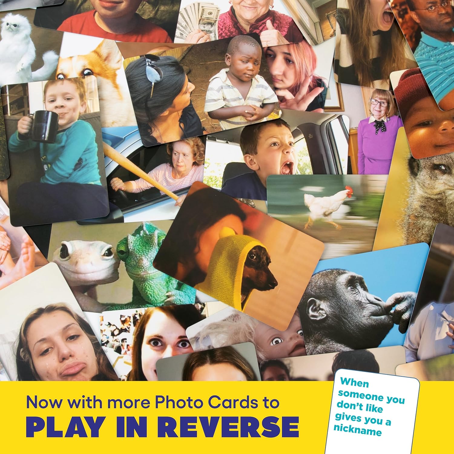 What Do You Meme?Edition by Relatable, Now with Refreshed Content, Easter Family Games for Kids and Adults, Easter Basket Gift, The TikTok Viral Sensation, Includes 300 Caption Cards, 108 Photo Cards