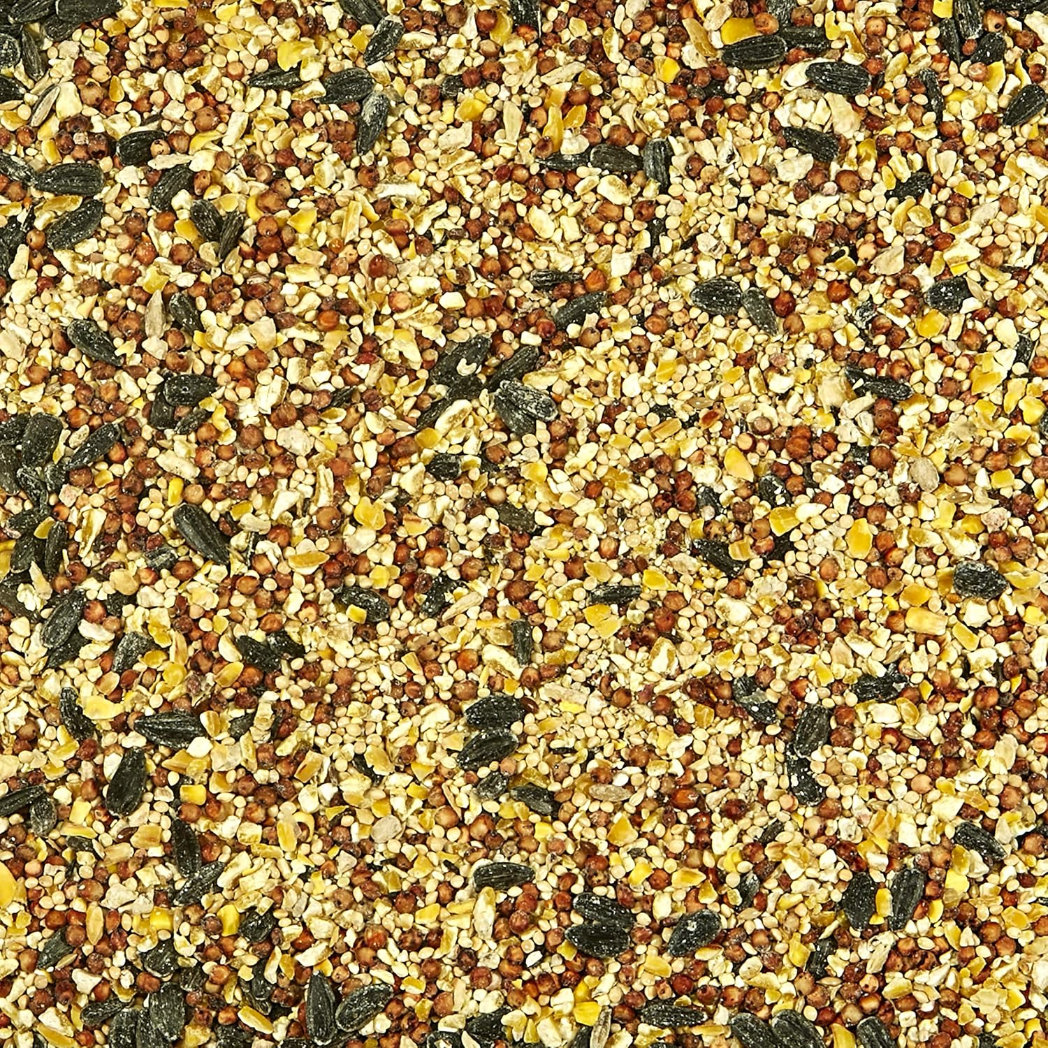 Kaytee All American Wild Bird Food Seed Blend, 5 Pound