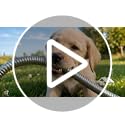 Lefree 100ft Metal Garden Hose - Heavy Duty 304 Stainless Steel Flexible Water Hose, No Kinks & Leak-Proof with Upgraded Handle, 10-Function Spray Nozzle & 4 Spare Gaskets for Yard, RV, Pet Bath