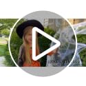 1000 sqft Spider Webs Halloween Decorations Bonus with 30 Fake Spiders, Super Stretch Cobwebs for Halloween Indoor and Outdoor Party Supplies