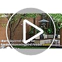 iBorn Baffles for Bird Feeders, 19.5” Oversized Bird Feeder Cover for Rain Guard, Birds Feeders Squirrel Guard, Full Protection for Outdoors, Polycarbonate(PC), Pack of 1, Transparent
