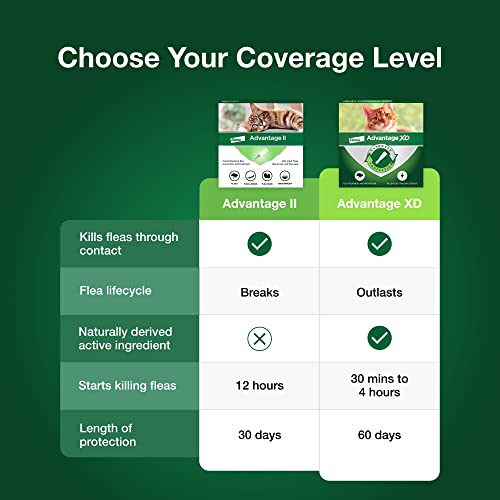 Advantage II Large Cat Vet-Recommended Flea Treatment & Prevention | Cats Over 9 lbs. | 6-Month Supply - Mart Station