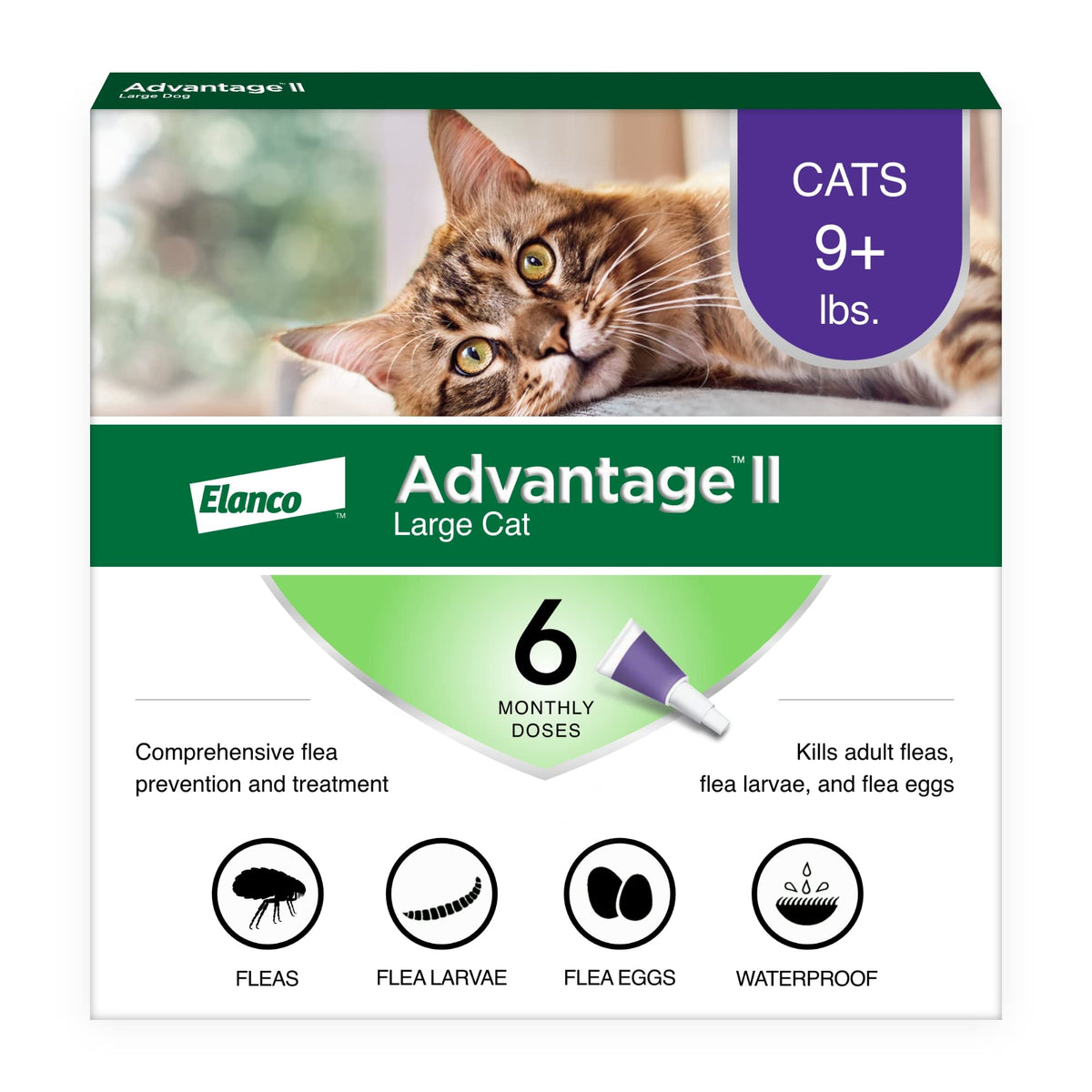 Advantage II Large Cat Vet-Recommended Flea Treatment & Prevention | Cats Over 9 lbs. | 6-Month Supply - Mart Station