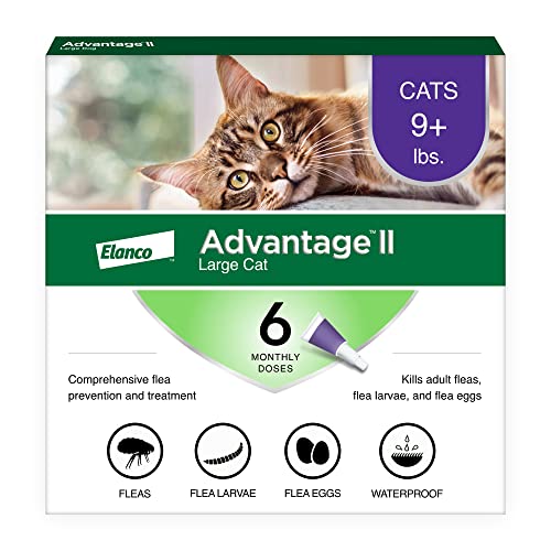 Advantage II Large Cat Vet-Recommended Flea Treatment & Prevention | Cats Over 9 lbs. | 6-Month Supply - Mart Station