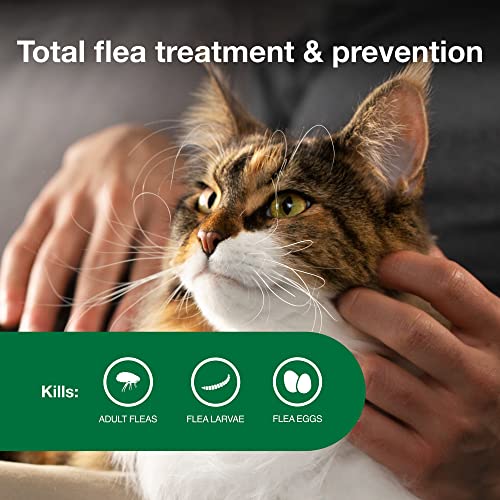 Advantage II Large Cat Vet-Recommended Flea Treatment & Prevention | Cats Over 9 lbs. | 6-Month Supply - Mart Station