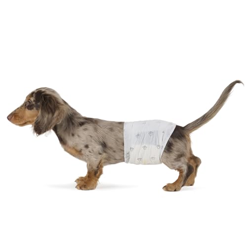 Basics Absorbent, Leakproof Male Dog Wrap Disposable Diapers with Wetness Indicator, Breathable, Small, White, 50-Pack - Mart Station