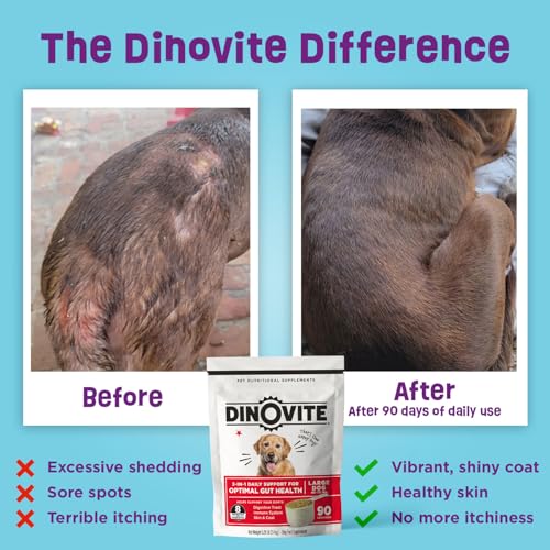 Dinovite Probiotics for Medium Dogs, Probiotic Food Topper, 90 Servings | Probiotic Powder Food Topper, Omega-3 Fatty Acids, Digestive Health Support, Skin & Coat Health, For Medium Dogs 18-45 lb - Mart Station