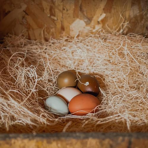 Eaton Pet and Pasture Nesting Pads for Laying Hens, 13" x 13", 10 Pack - Mart Station