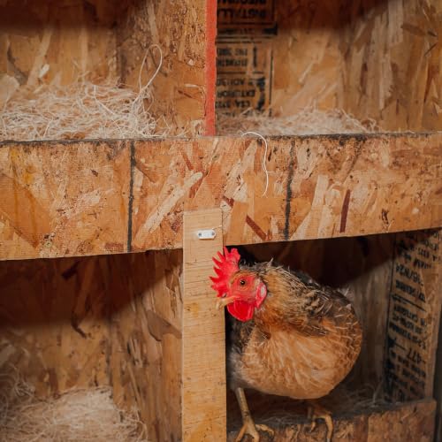 Eaton Pet and Pasture Nesting Pads for Laying Hens, 13" x 13", 10 Pack - Mart Station