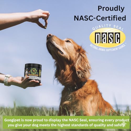 Googipet Premium Dog Multivitamin Chewable, Dog Vitamins and Supplements, Puppy Vitamins & Senior Dogs Probiotics for Gut Health + Vitamin C, Glucosamine for Dogs Joint Support (PB & Pumpkin Flavor) - Mart Station