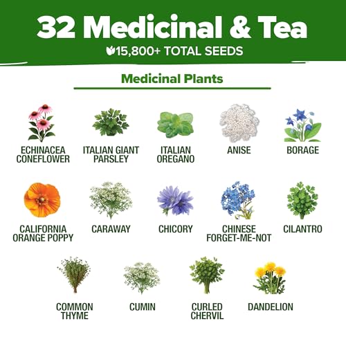 HOME GROWN Herb Seeds 32 Medicinal Herbs and Tea Variety Pack | Annual & Perennial Herb Seeds for Planting Indoors & Outdoor – Non-GMO, Easy to Grow, High Germination Garden Kit - Mart Station
