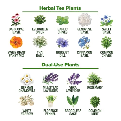 HOME GROWN Herb Seeds 32 Medicinal Herbs and Tea Variety Pack | Annual & Perennial Herb Seeds for Planting Indoors & Outdoor – Non-GMO, Easy to Grow, High Germination Garden Kit - Mart Station