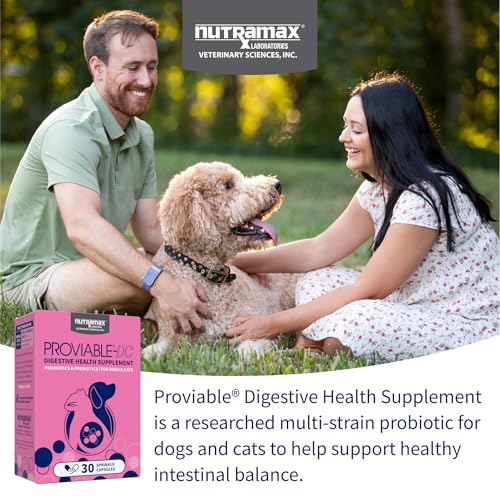 Nutramax Proviable Probiotics for Dogs & Cats, Sprinkle Capsules, 80ct - Mart Station