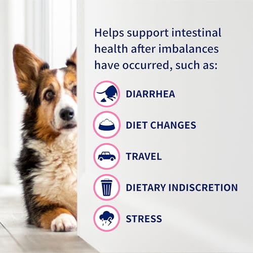 Nutramax Proviable Probiotics + Prebiotics for Dogs, Chewable Tablets, 60ct - Mart Station