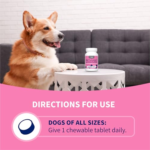 Nutramax Proviable Probiotics + Prebiotics for Dogs, Chewable Tablets, 60ct - Mart Station