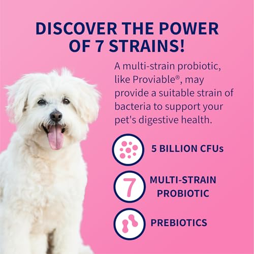 Nutramax Proviable Probiotics + Prebiotics for Dogs, Chewable Tablets, 60ct - Mart Station