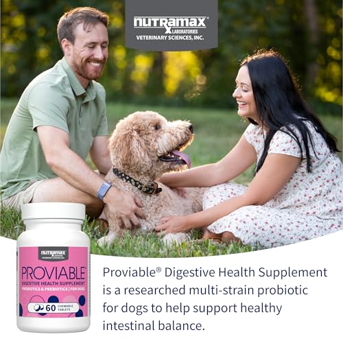 Nutramax Proviable Probiotics + Prebiotics for Dogs, Chewable Tablets, 60ct - Mart Station