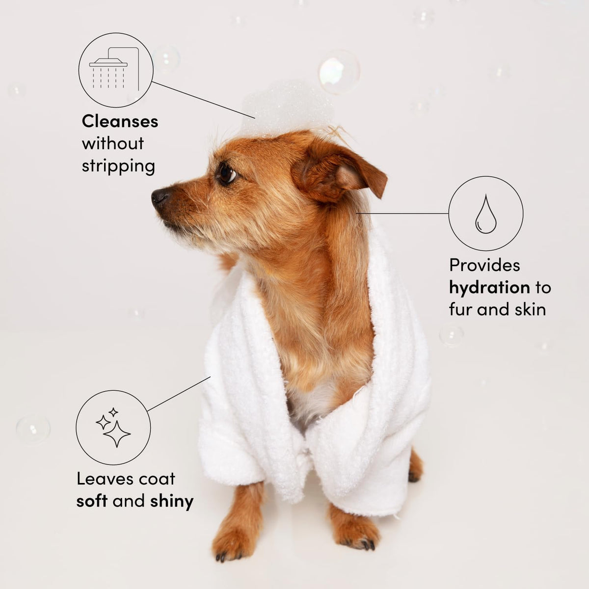 OUAI Fur Bébé Pet Shampoo, Mercer Street Scent - Dog Shampoo and Coat Wash for Hydrating, Cleansing and Adding Shine - Pet Supplies by OUAI (16 Fl Oz) - Mart Station