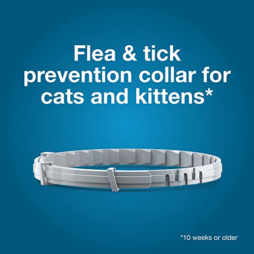 Seresto Cat Vet-Recommended Flea & Tick Treatment & Prevention Collar for Cats | 8 Months Protection - Mart Station