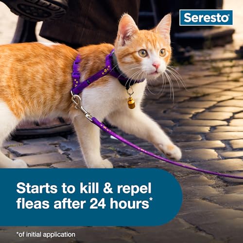 Seresto Cat Vet-Recommended Flea & Tick Treatment & Prevention Collar for Cats | 8 Months Protection - Mart Station
