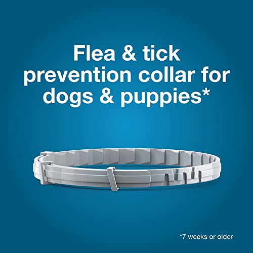 Seresto Flea & Tick Collar For Dogs Over 18 lbs., Treatment & Prevention, Vet-Recommend, 8 Month Protection - Mart Station