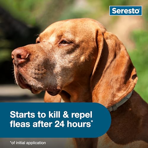 Seresto Flea & Tick Collar For Dogs Over 18 lbs., Treatment & Prevention, Vet-Recommend, 8 Month Protection - Mart Station