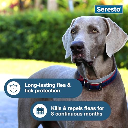 Seresto Flea & Tick Collar For Dogs Over 18 lbs., Treatment & Prevention, Vet-Recommend, 8 Month Protection - Mart Station