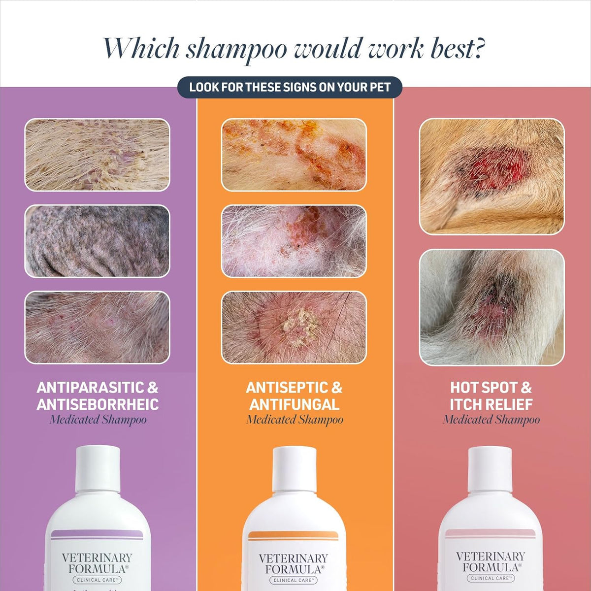 Veterinary Formula Clinical Care Antiseptic and Antifungal Medicated Shampoo for Dogs & Cats, 16 Fl Oz – Helps Alleviate Scaly, Greasy, red Skin – Paraben, Dye, Soap-Free (1 Pack) - Mart Station